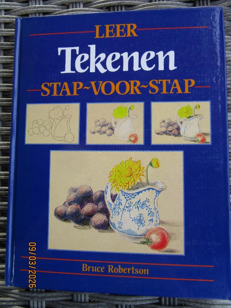 Bruce Robertson / Leer tekenen stap- voor- stap, Ophalen of Verzenden, Gelezen, Tekenen en Schilderen, Bruce Robertson