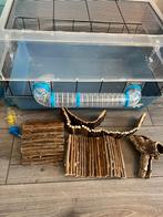 Hamster kooi met heel veel toebehoren, Minder dan 60 cm, Kooi, Minder dan 75 cm, Ophalen of Verzenden