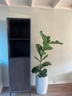 Hoge kast, Huis en Inrichting, Kasten | Overige, Ophalen, Zo goed als nieuw