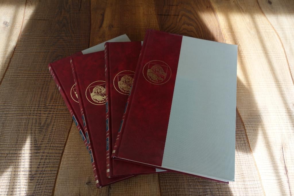 Jaap ter Haar: Geschiedenis van de Lage Landen, Ophalen of Verzenden, Zo goed als nieuw