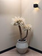 Pampas boom, Huis en Inrichting, Woonaccessoires | Zuilen en Pilaren, Lvkvazen, Nieuw, Info@lvkvazen.com, Ophalen
