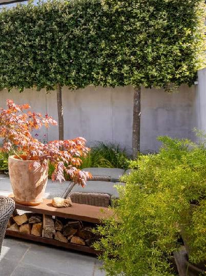 Cortenstalen houtopslag 200 x 40 x 40 cm, Tuin en Terras, Schuttingen, Ophalen, 1 tot 2 meter, Minder dan 3 meter, Zo goed als nieuw