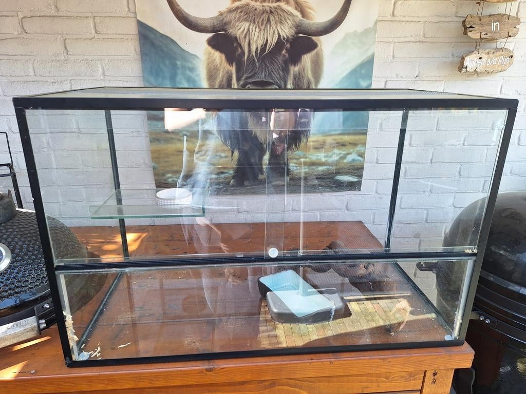 Knaagdier terrarium, Dieren en Toebehoren, Ophalen, 75 tot 110 cm, Kooi, Minder dan 60 cm