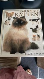 Het Mooiste Kattenboek: Verzorging, rassen en meer, Boeken, Ophalen of Verzenden, Gelezen, Katten