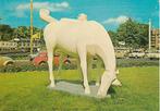 Groningen- -Peerd van Ome Loeks., Verzenden, 1960 tot 1980, Gelopen, Groningen