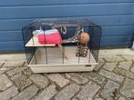 Hamsterkooi met toebehoren merk Flamingo, Dieren en Toebehoren, Kooi, Gebruikt, Minder dan 75 cm, Ophalen