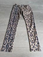 Europe Kids broek maat 158, Broek, Europe Kids, Meisje, Ophalen of Verzenden