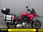 Benelli TRK 502 (bj 2019), Bedrijf, Toermotor, 500 cc