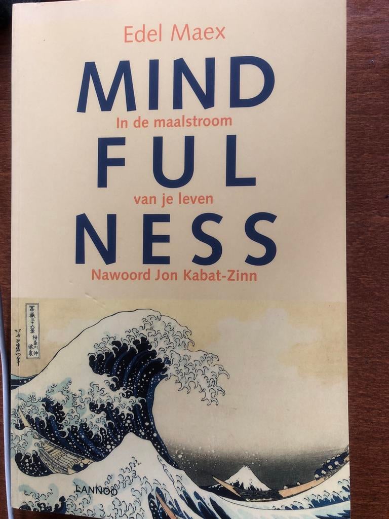 Edel Maex - Mindfulness, Zo goed als nieuw, Instructieboek, Overige onderwerpen, Edel Maex