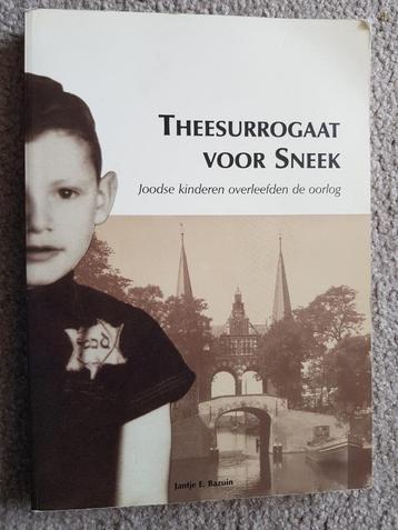 theesurrogaat voor Sneek - J. E. Bazuin beschikbaar voor biedingen