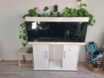 Aquarium juwel Rio 240L met toebehoren en zonder vis, Ophalen, Gebruikt, Leeg aquarium