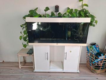 Aquarium juwel Rio 240L met toebehoren en zonder vis beschikbaar voor biedingen