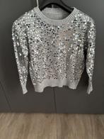 Leuke glittertrui, Ophalen, Onbekend, Maat 36 (S), Grijs