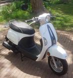 Kymco New sento 50i snorscooter, Ophalen, Overige modellen, Zo goed als nieuw, Benzine