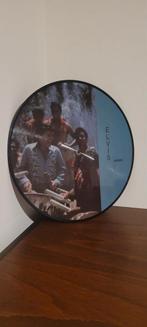 Elvis Presley Hawaii Picture Disc, Verzenden, 2000 tot heden, Zo goed als nieuw, 12 inch