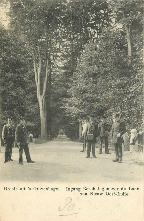 (701-181-007) Den Haag Ingang Bosch, Verzamelen, Ansichtkaarten | Nederland, Zuid-Holland, Verzenden
