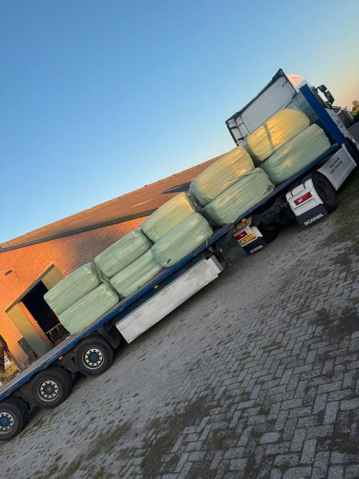 Voordroog wikkelbalen paardenhooi kuilgras vierkante balen, Dieren en Toebehoren, Dierenvoeding, Vee, Ophalen of Verzenden