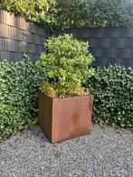 Content stalen Bloembakken 80x80x80 - 3 stuks, Gebruikt, Vierkant, Ophalen of Verzenden, Metaal