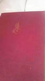 het carnavalsboek van nederland de geschiedenis, Boeken, Ophalen of Verzenden, Zo goed als nieuw