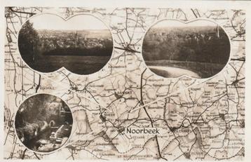 NOORBEEK Landkaart Panorama's  beschikbaar voor biedingen