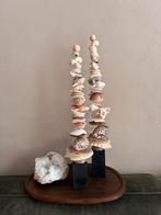 Schelpen torens - Unieke decoratie, Huis en Inrichting, Woonaccessoires | Overige, Ophalen, Zo goed als nieuw