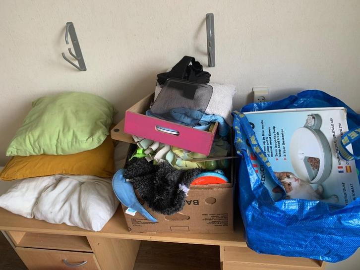 Honden- en kattenspullen voor dierenhulporganisatie, Dieren en Toebehoren, Honden-accessoires, Gebruikt, Ophalen