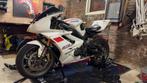 Triumph Daytona 675 2007 19Dkm - circuitmotor met kenteken., Ophalen
