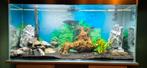 Aquarium, Dieren en Toebehoren, Vissen | Aquaria en Toebehoren, Ophalen, Zo goed als nieuw, Leeg aquarium