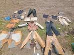 Hondensport  knpv herder spullen, Reu, 8 tot 15 weken, Meerdere, Herder