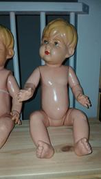 Wildebras poppen en onderdelen, Ophalen of Verzenden