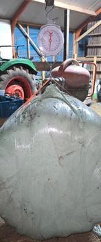 Midibalen hooi. Met analyse., Dieren en Toebehoren, Dierenvoeding, Ophalen of Verzenden