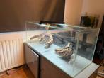 Aquarium zonder deksel 160 Liter, Dieren en Toebehoren, Vissen | Aquaria en Toebehoren, Ophalen, Zo goed als nieuw, Leeg aquarium