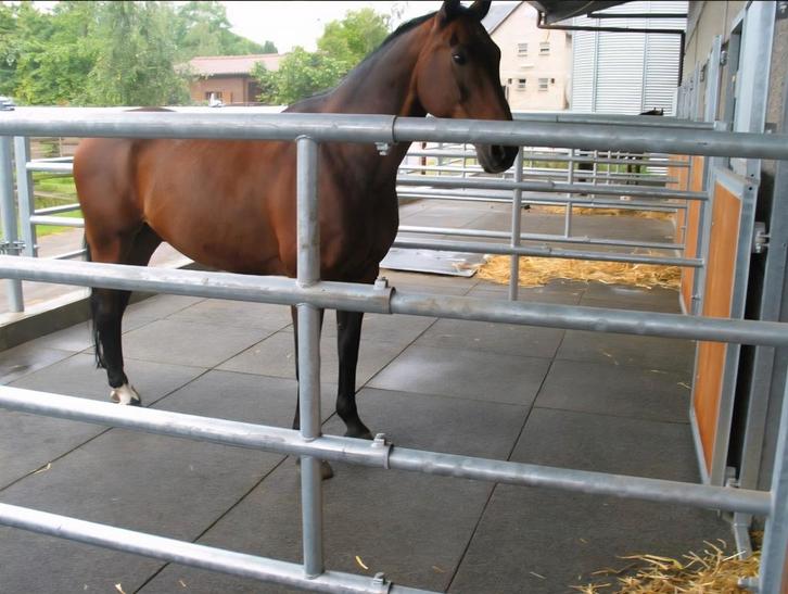 Staltegels goede staat 7cm dik!, Dieren en Toebehoren, Paarden en Pony's | Overige Paardenspullen, Zo goed als nieuw, Overige soorten