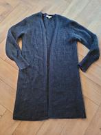 Prachtig lang vest van Silvian Heach, maat S, Kleding | Dames, Zwart, Ophalen of Verzenden, Zo goed als nieuw, Silvian Heach