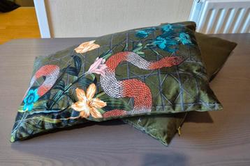 Fluwelen kussens 30 x 50 cm beschikbaar voor biedingen