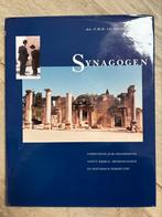 Synagogen van drs. C.M.H. van Lieshout, Ophalen of Verzenden, Gelezen