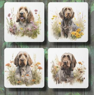 Spinone Italiano Aquarel onderzetters met houder beschikbaar voor biedingen