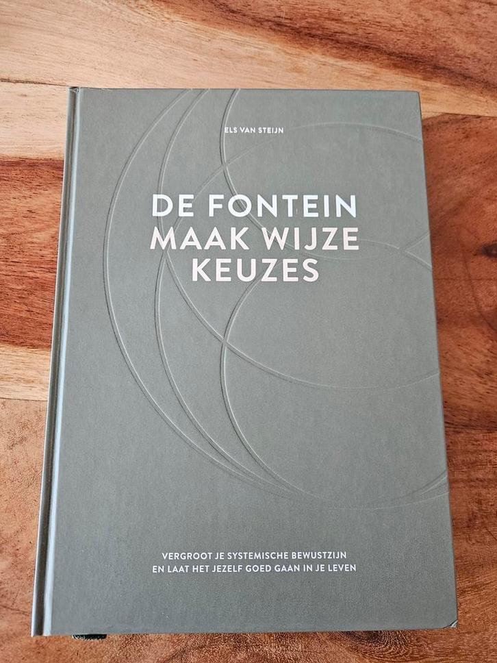 Els van Steijn - De fontein, maak wijze keuzes, Boeken, Psychologie, Zo goed als nieuw, Ophalen of Verzenden