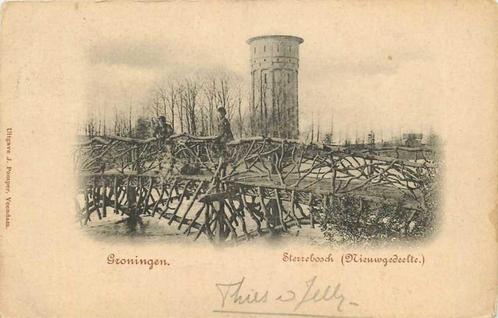 (300-079-005) Groningen Sterrebosch, Verzamelen, Ansichtkaarten | Nederland, Groningen, Verzenden