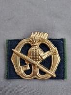 Baretembleem korps commandotroepen (oogjes), Ophalen of Verzenden, Landmacht, Nederland, Embleem of Badge