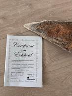 Fossiel - stuk dijbeen van wolharige mammoet, Verzamelen, Ophalen, Fossiel