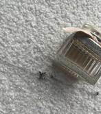 Verschillende armbandjes | Designer armbandjes | Bracelets, Sieraden, Tassen en Uiterlijk, Ophalen, Nieuw, Overige kleuren, Staal