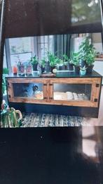 Terrarium betonplex, Dieren en Toebehoren, Overige soorten, Met terrarium, 0 tot 2 jaar