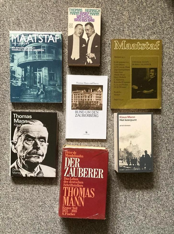 Literatuur over Thomas Mann, Boeken, Biografieën, Gelezen, Kunst en Cultuur, Ophalen of Verzenden
