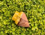 Franse terracotta muurbloempot deels geglazuurd, Tuin en Terras, Tuin, Rond, Ophalen of Verzenden, Zo goed als nieuw