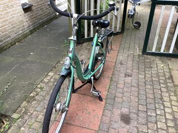 Sparta Amazone V7 H 54 cm in goede staat beschikbaar voor biedingen