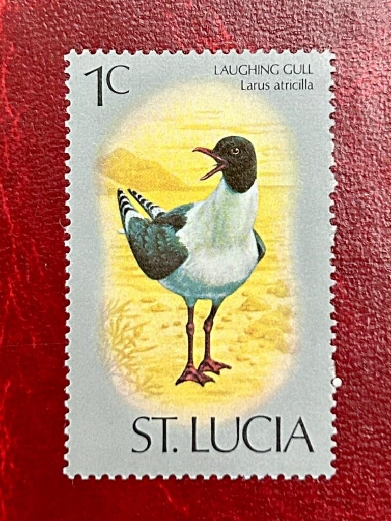 Lachmeeuw - St. Lucia - 1976, Postzegels en Munten, Verzenden, Postfris, Dier of Natuur