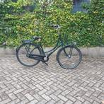 Cortina U4 53 cm transportfiets, Versnellingen, Ophalen, Overige merken, 53 tot 56 cm