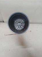 Kweekpotten 14 cm, Tuin en Terras, Bloempotten, Kunststof, Gebruikt, Rond, Bakumer Str.73,
49393 Lohne
Germany