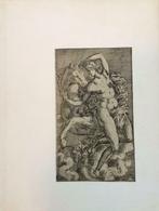 Le Beau Style (1520-1620). Gravures maniéristes, Gelezen, Ophalen of Verzenden, Schilder- en Tekenkunst, Nathalie Strasser